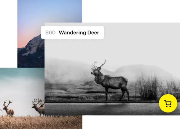 Photos of wandering deer for $60
